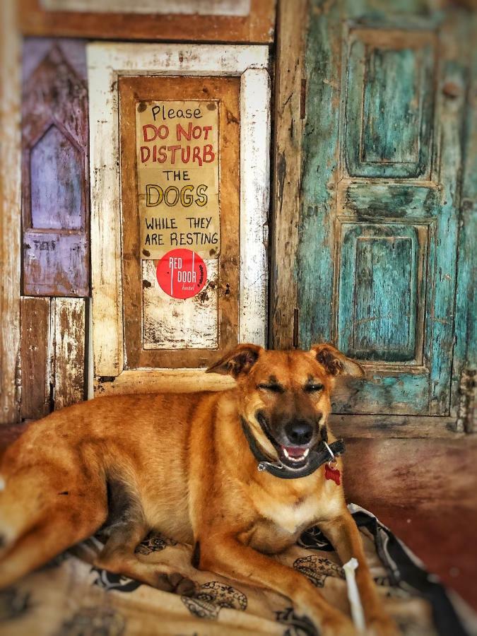 Red Door Hostel Анджуна Екстериор снимка